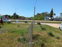 Venta Terreno Sobre Ruta Interbalnearia Parque Del Plata - Miniatura 5
