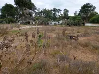 Venta Terreno Parque Del Plata Sobre Ruta Interbalnearia - Miniatura 8