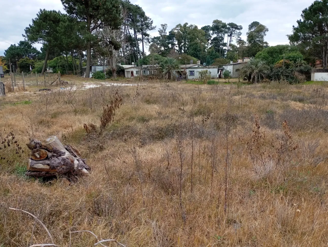 Venta Terreno Parque Del Plata Sobre Ruta Interbalnearia - Imagen 7