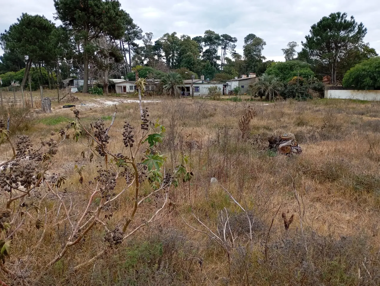 Venta Terreno Parque Del Plata Sobre Ruta Interbalnearia - Imagen 8