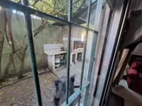 Venta Parque Del Plata Apto 3 Dorm Con Vista Al Mar - Miniatura 13