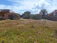 Venta Terreno Parque Del Plata Frente A La Playa - Miniatura 5