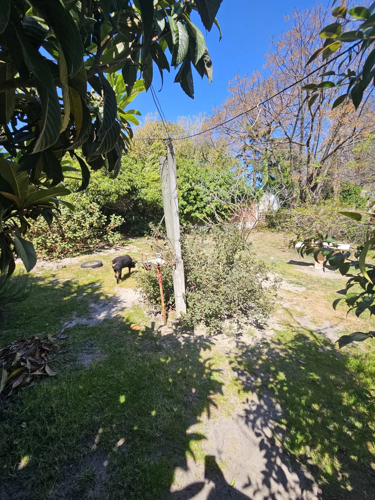 Venta Casa 2 Dormitorios Salinas Norte Apta Banco - Imagen 11