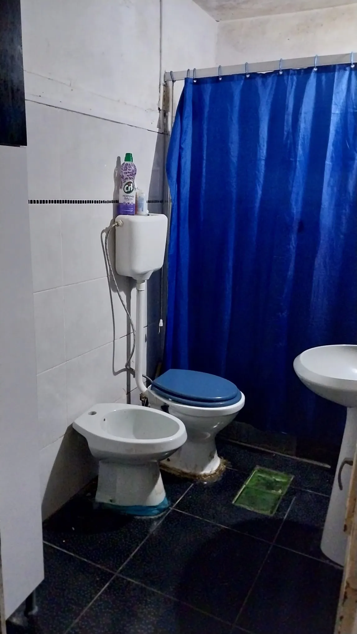 Venta 2 Casas En Pinamar Sur - Imagen 4