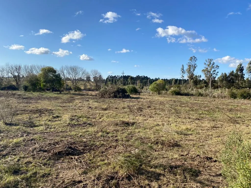 TERRENO SOBRE RUTA INTERBALNEARIA - Imagen 3