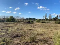 TERRENO SOBRE RUTA INTERBALNEARIA - Miniatura 3
