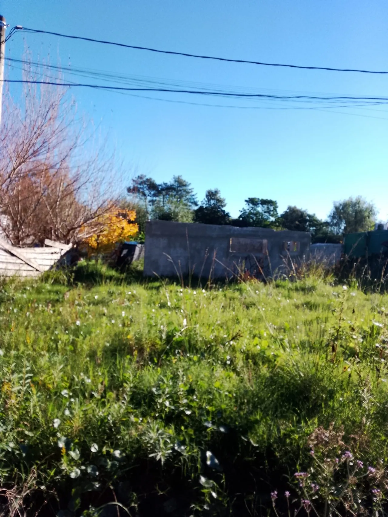 Venta Terreno En El Pinar - Imagen 4